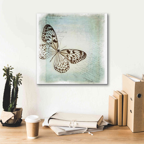 Image of 'Floating Butterfly IV' by Debra Van Swearingen, Canvas Wall Art,18 x 18