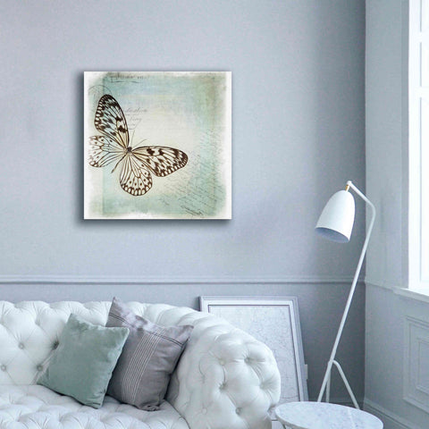 Image of 'Floating Butterfly IV' by Debra Van Swearingen, Canvas Wall Art,37 x 37