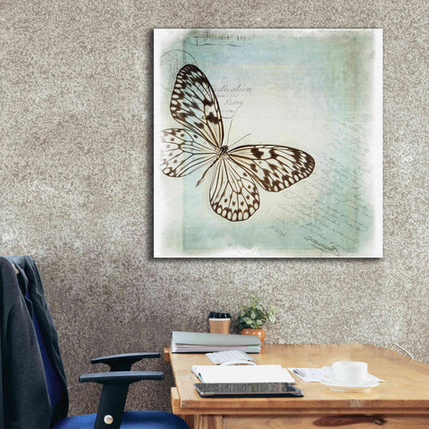 Image of 'Floating Butterfly IV' by Debra Van Swearingen, Canvas Wall Art,37 x 37