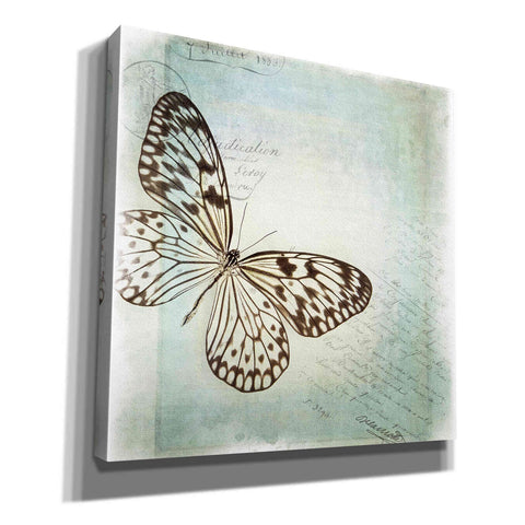 Image of 'Floating Butterfly IV' by Debra Van Swearingen, Canvas Wall Art,12x12x1.1x0,18x18x1.1x0,26x26x1.74x0,37x37x1.74x0