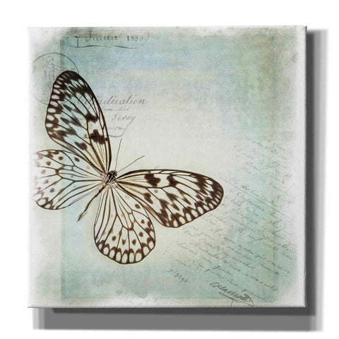 Image of 'Floating Butterfly IV' by Debra Van Swearingen, Canvas Wall Art,12x12x1.1x0,18x18x1.1x0,26x26x1.74x0,37x37x1.74x0