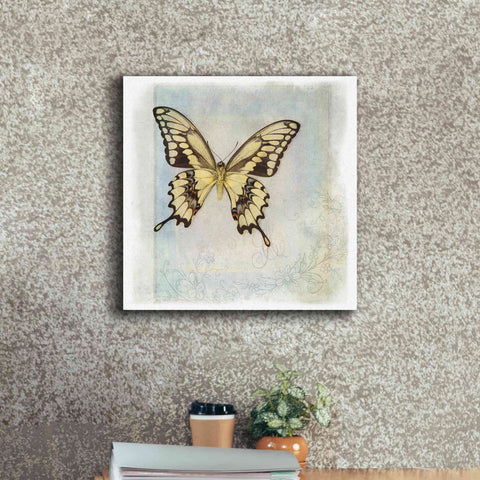 Image of 'Floating Butterfly V' by Debra Van Swearingen, Canvas Wall Art,18 x 18