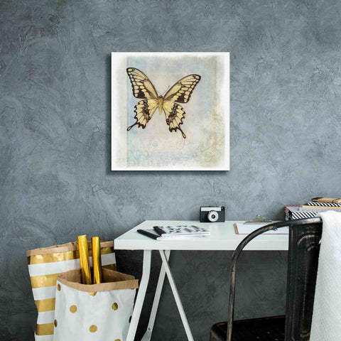 Image of 'Floating Butterfly V' by Debra Van Swearingen, Canvas Wall Art,18 x 18