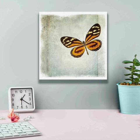 Image of 'Floating Butterfly VI' by Debra Van Swearingen, Canvas Wall Art,12 x 12