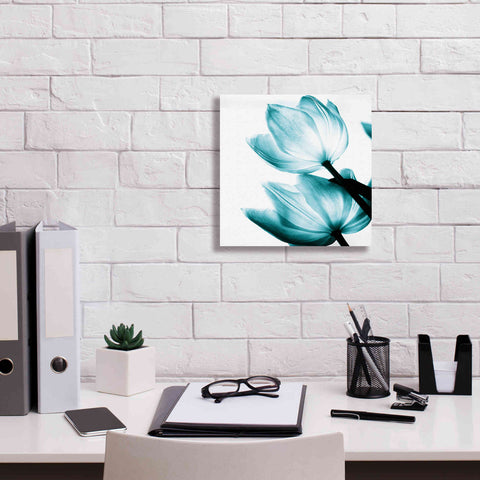 Image of 'Translucent Tulips II Teal' by Debra Van Swearingen, Canvas Wall Art,12 x 12