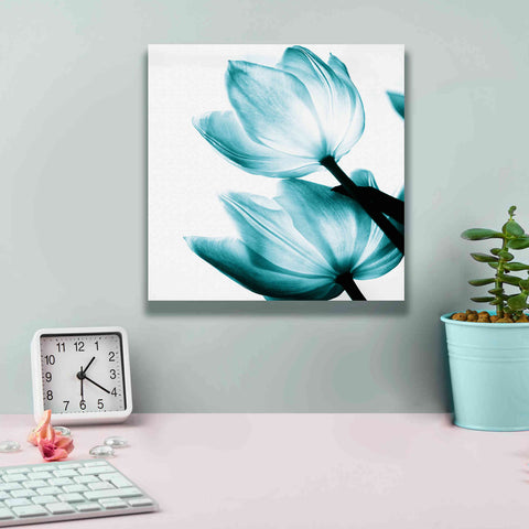 Image of 'Translucent Tulips II Teal' by Debra Van Swearingen, Canvas Wall Art,12 x 12