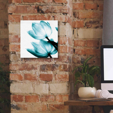 Image of 'Translucent Tulips II Teal' by Debra Van Swearingen, Canvas Wall Art,12 x 12