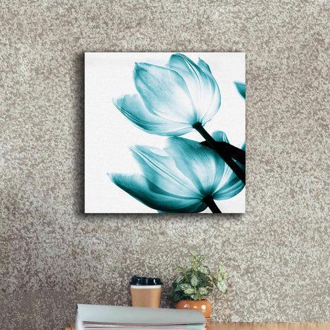 Image of 'Translucent Tulips II Teal' by Debra Van Swearingen, Canvas Wall Art,18 x 18
