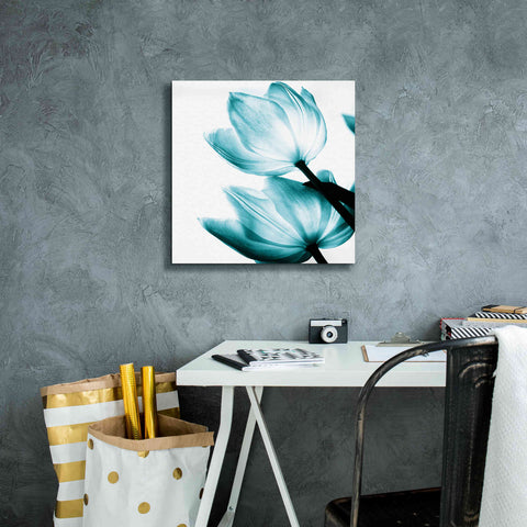 Image of 'Translucent Tulips II Teal' by Debra Van Swearingen, Canvas Wall Art,18 x 18