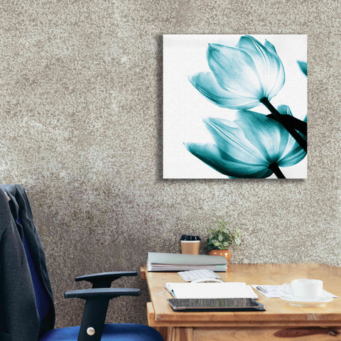 Image of 'Translucent Tulips II Teal' by Debra Van Swearingen, Canvas Wall Art,26 x 26