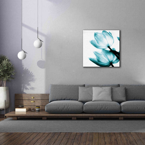 Image of 'Translucent Tulips II Teal' by Debra Van Swearingen, Canvas Wall Art,37 x 37