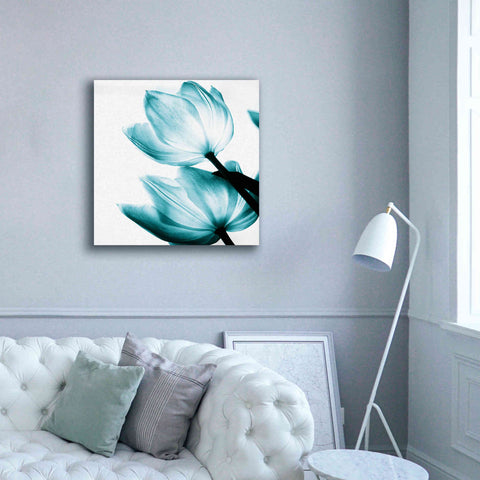 Image of 'Translucent Tulips II Teal' by Debra Van Swearingen, Canvas Wall Art,37 x 37