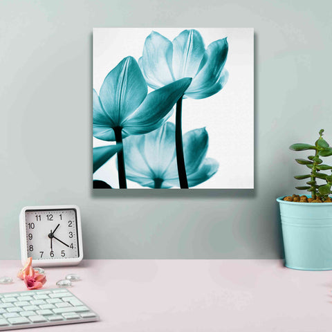 Image of 'Translucent Tulips III Teal' by Debra Van Swearingen, Canvas Wall Art,12 x 12