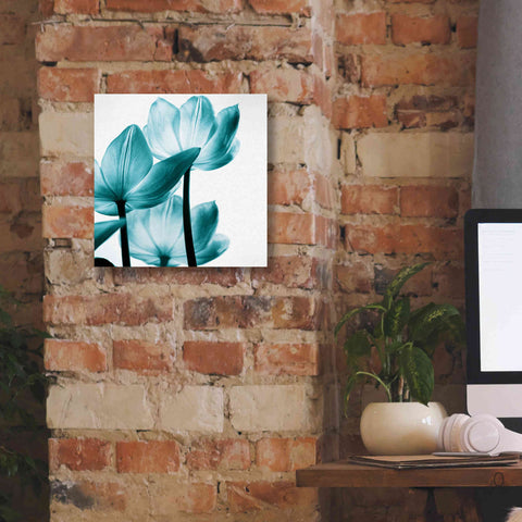 Image of 'Translucent Tulips III Teal' by Debra Van Swearingen, Canvas Wall Art,12 x 12