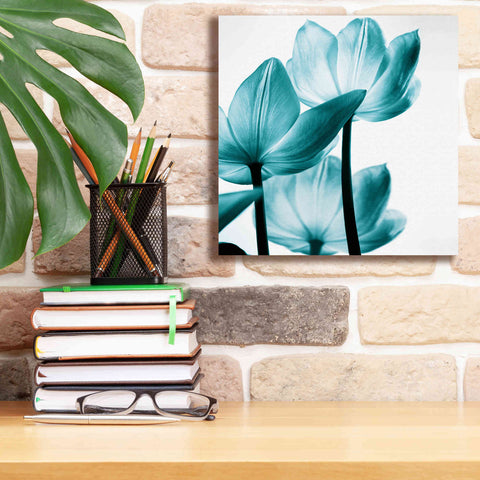 Image of 'Translucent Tulips III Teal' by Debra Van Swearingen, Canvas Wall Art,12 x 12