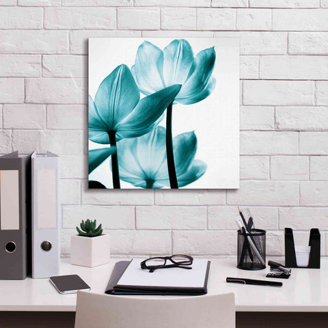 Image of 'Translucent Tulips III Teal' by Debra Van Swearingen, Canvas Wall Art,18 x 18