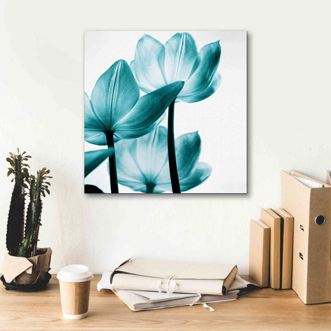 Image of 'Translucent Tulips III Teal' by Debra Van Swearingen, Canvas Wall Art,18 x 18
