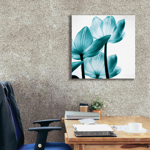 Image of 'Translucent Tulips III Teal' by Debra Van Swearingen, Canvas Wall Art,26 x 26