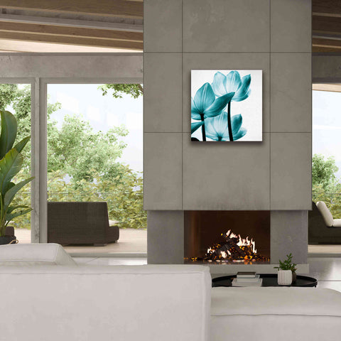 Image of 'Translucent Tulips III Teal' by Debra Van Swearingen, Canvas Wall Art,26 x 26