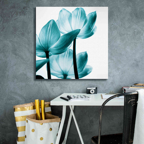Image of 'Translucent Tulips III Teal' by Debra Van Swearingen, Canvas Wall Art,26 x 26
