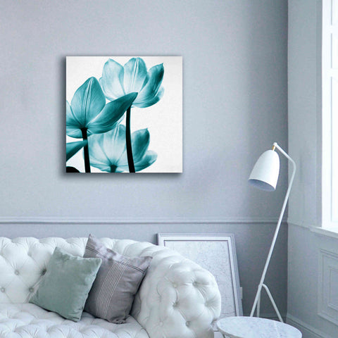 Image of 'Translucent Tulips III Teal' by Debra Van Swearingen, Canvas Wall Art,37 x 37