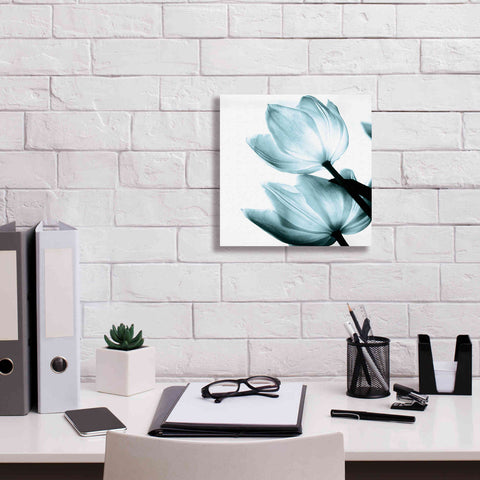 Image of 'Translucent Tulips II Aqua' by Debra Van Swearingen, Canvas Wall Art,12 x 12