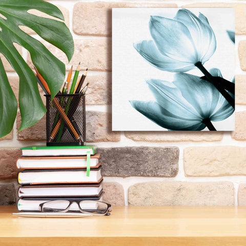 Image of 'Translucent Tulips II Aqua' by Debra Van Swearingen, Canvas Wall Art,12 x 12