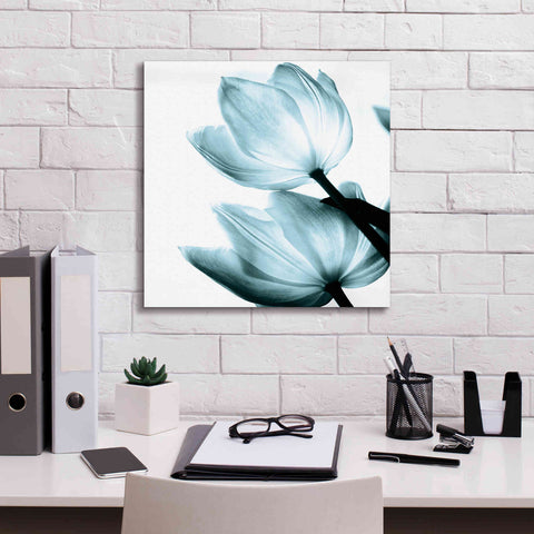 Image of 'Translucent Tulips II Aqua' by Debra Van Swearingen, Canvas Wall Art,18 x 18