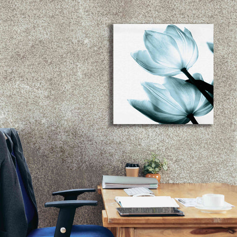 Image of 'Translucent Tulips II Aqua' by Debra Van Swearingen, Canvas Wall Art,26 x 26
