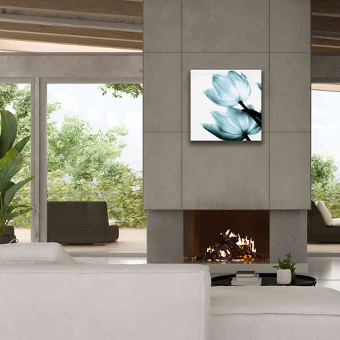 Image of 'Translucent Tulips II Aqua' by Debra Van Swearingen, Canvas Wall Art,26 x 26