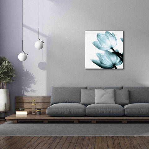 Image of 'Translucent Tulips II Aqua' by Debra Van Swearingen, Canvas Wall Art,37 x 37