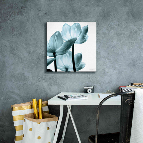 Image of 'Translucent Tulips III Aqua' by Debra Van Swearingen, Canvas Wall Art,18 x 18