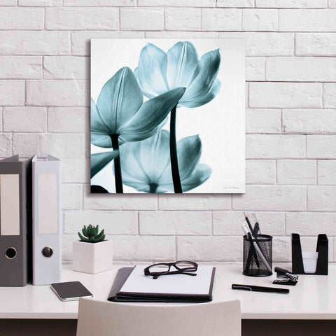 Image of 'Translucent Tulips III Aqua' by Debra Van Swearingen, Canvas Wall Art,18 x 18
