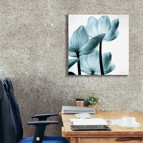 Image of 'Translucent Tulips III Aqua' by Debra Van Swearingen, Canvas Wall Art,26 x 26
