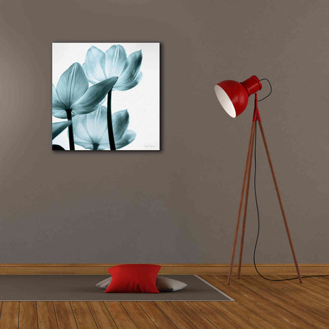 Image of 'Translucent Tulips III Aqua' by Debra Van Swearingen, Canvas Wall Art,26 x 26