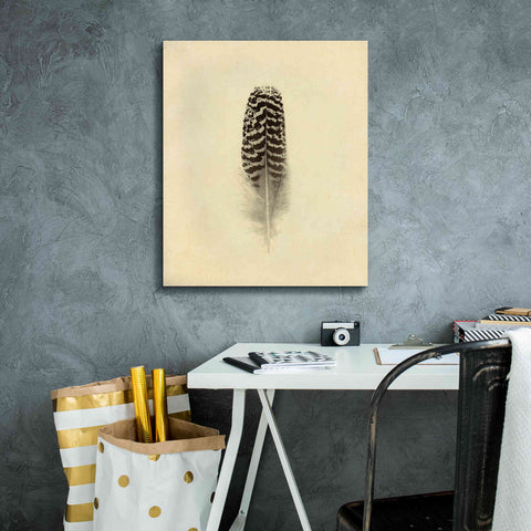 Image of 'Feather I Vintage' by Debra Van Swearingen, Canvas Wall Art,20 x 24