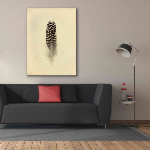 Image of 'Feather I Vintage' by Debra Van Swearingen, Canvas Wall Art,40 x 54