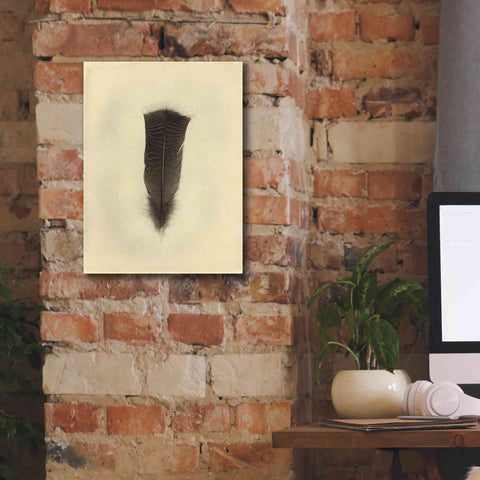 Image of 'Feather III Vintage' by Debra Van Swearingen, Canvas Wall Art,12 x 16