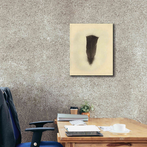 Image of 'Feather III Vintage' by Debra Van Swearingen, Canvas Wall Art,20 x 24