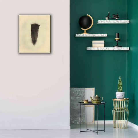 Image of 'Feather III Vintage' by Debra Van Swearingen, Canvas Wall Art,20 x 24