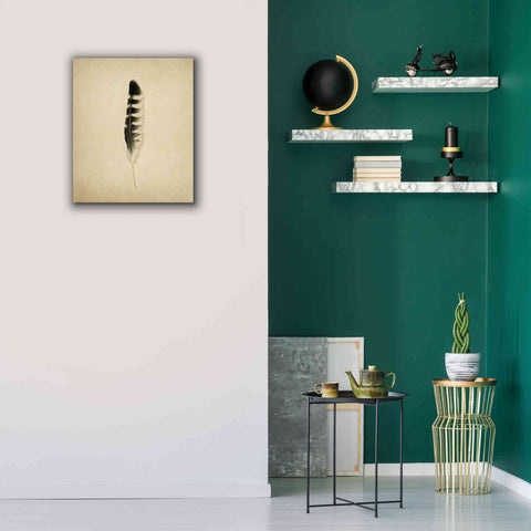 Image of 'Feather IV Vintage' by Debra Van Swearingen, Canvas Wall Art,20 x 24