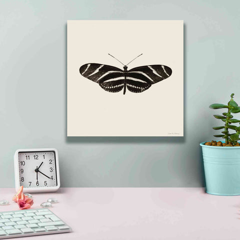 Image of 'Butterfly IX B&W' by Debra Van Swearingen, Canvas Wall Art,12 x 12