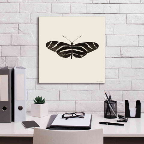 Image of 'Butterfly IX B&W' by Debra Van Swearingen, Canvas Wall Art,18 x 18