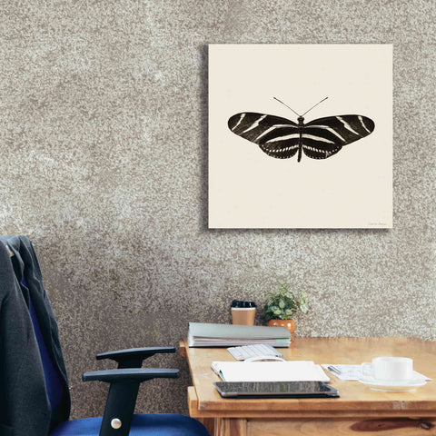 Image of 'Butterfly IX B&W' by Debra Van Swearingen, Canvas Wall Art,26 x 26