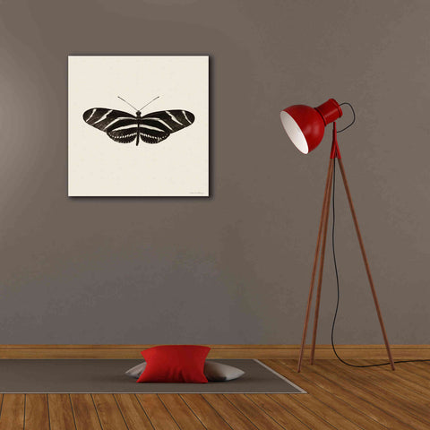 Image of 'Butterfly IX B&W' by Debra Van Swearingen, Canvas Wall Art,26 x 26