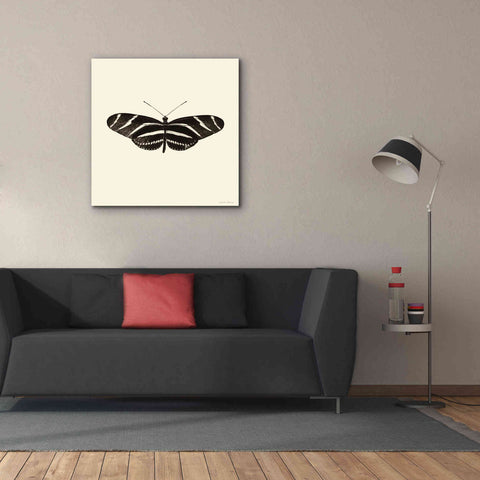 Image of 'Butterfly IX B&W' by Debra Van Swearingen, Canvas Wall Art,37 x 37