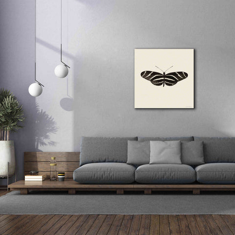 Image of 'Butterfly IX B&W' by Debra Van Swearingen, Canvas Wall Art,37 x 37