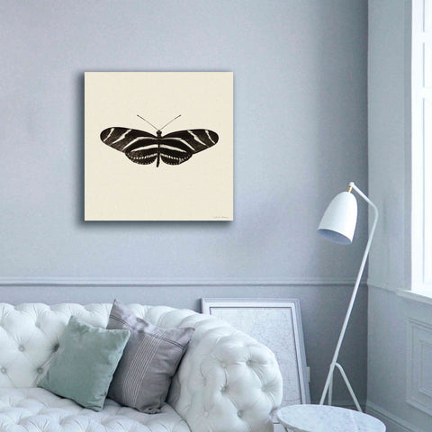Image of 'Butterfly IX B&W' by Debra Van Swearingen, Canvas Wall Art,37 x 37