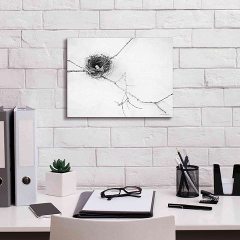 Image of 'Nest and Branch I' by Debra Van Swearingen, Canvas Wall Art,16 x 12