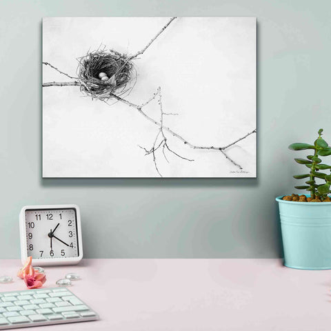 Image of 'Nest and Branch I' by Debra Van Swearingen, Canvas Wall Art,16 x 12
